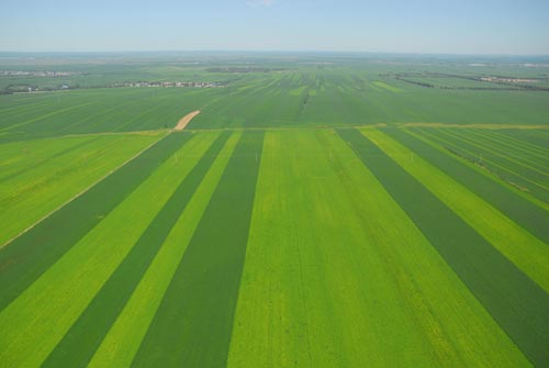 無土栽培，無土栽培技術(shù)，無土栽培設(shè)備
