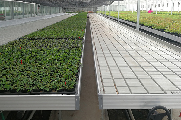 無土栽培，無土栽培技術，無土栽培設備