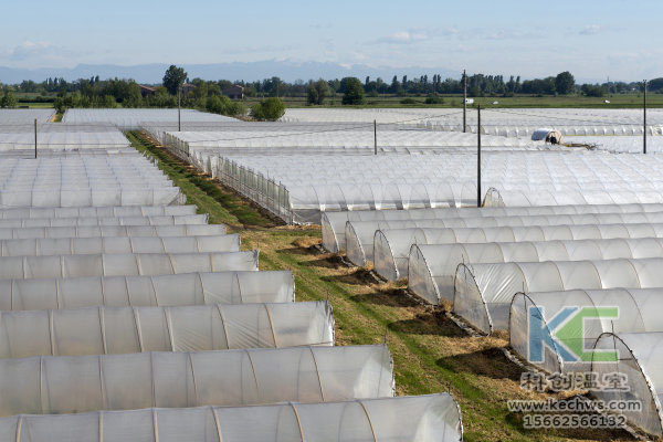 無土栽培，無土栽培技術(shù)，無土栽培設(shè)備