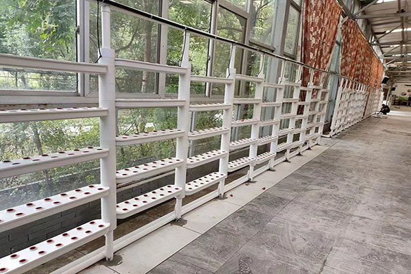 無(wú)土栽培，無(wú)土栽培技術(shù)，無(wú)土栽培設(shè)備