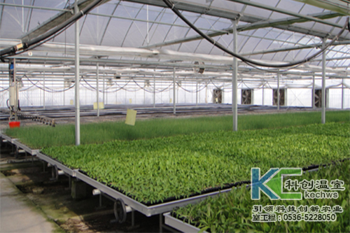 無土栽培，無土栽培技術，無土栽培設備