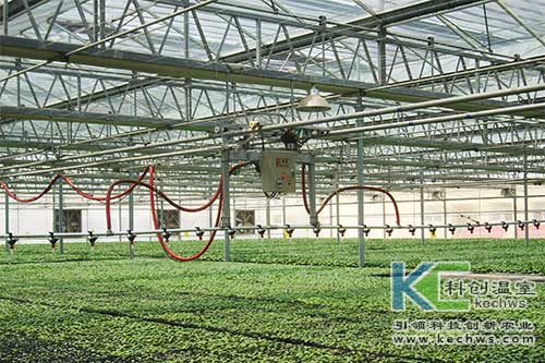 無土栽培，無土栽培技術，無土栽培設備