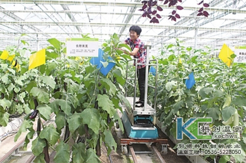 無土栽培，無土栽培技術，無土栽培設備