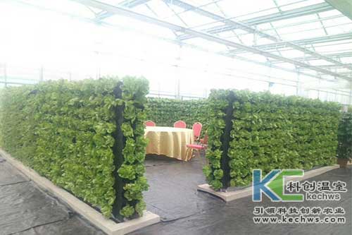 無土栽培，無土栽培技術(shù)，無土栽培設(shè)備