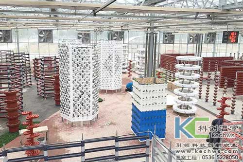 無土栽培，無土栽培案例