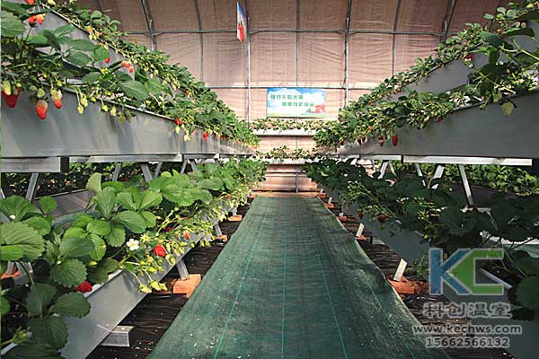 無土栽培，無土栽培技術(shù)，無土栽培設(shè)備