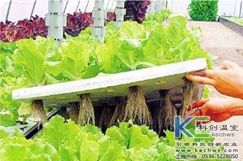無土栽培，無土栽培技術(shù)，無土栽培設備