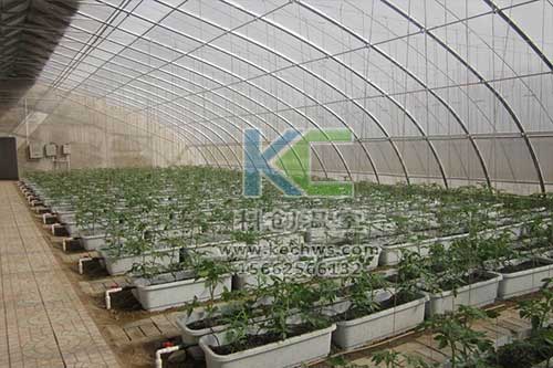 無土栽培，無土栽培技術，無土栽培設備