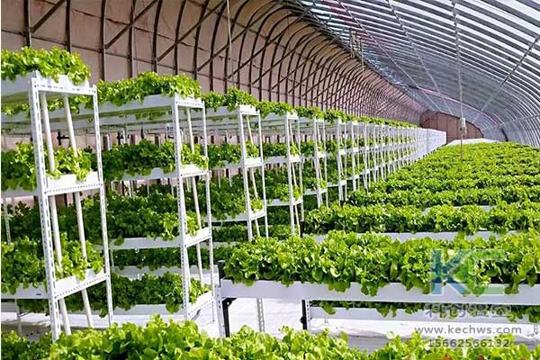 無土栽培，無土栽培技術，無土栽培基質