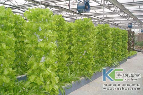 無土栽培，無土栽培技術(shù)，無土栽培設(shè)備