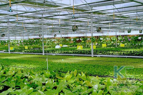 無土栽培，無土栽培技術