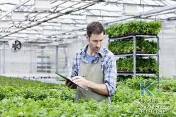 無土栽培，無土栽培技術，無土栽培設備