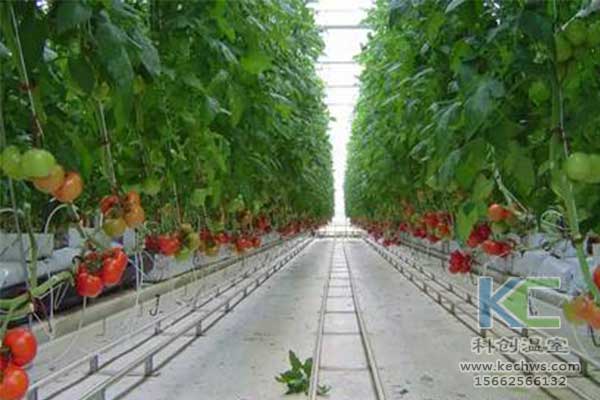 無土栽培，無土栽培技術(shù)，無土栽培設(shè)備