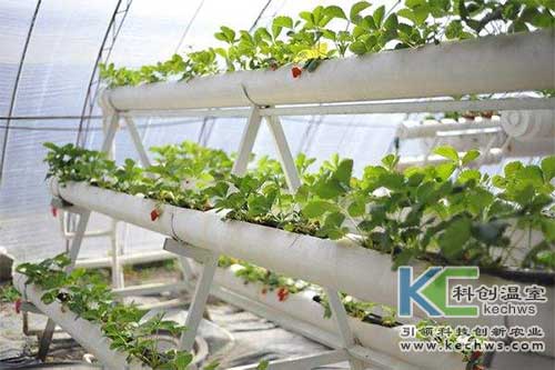 無土栽培，無土栽培技術(shù)，無土栽培設(shè)備