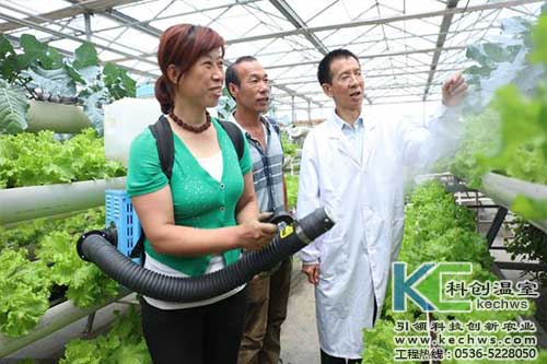 無土栽培，無土栽培技術，無土栽培設備