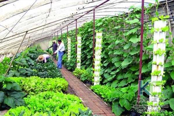 無(wú)土栽培，無(wú)土栽培技術(shù)，無(wú)土栽培設(shè)備