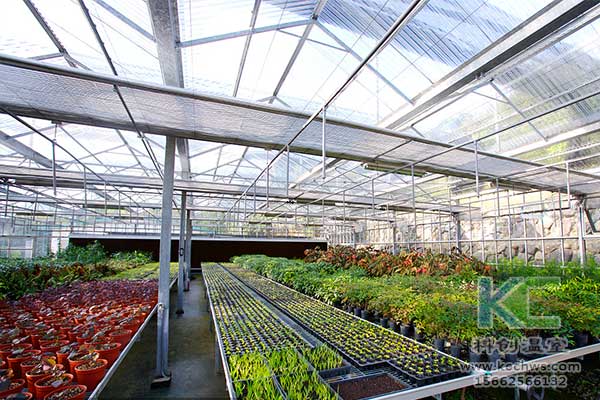 無(wú)土栽培，無(wú)土栽培技術(shù)，無(wú)土栽培設(shè)備