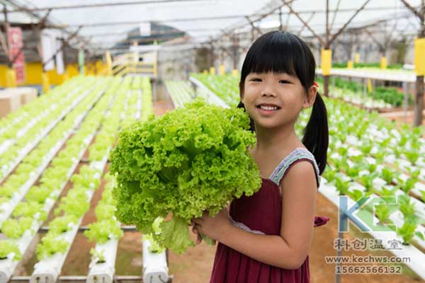 無(wú)土栽培，無(wú)土栽培技術(shù)，無(wú)土栽培設(shè)備