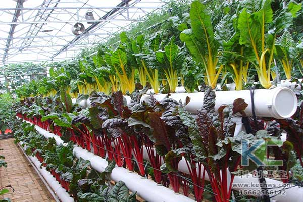 無土栽培，無土栽培技術，無土栽培設備