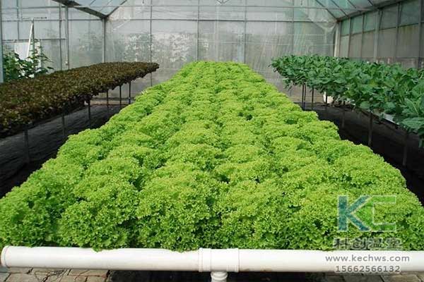 無土栽培，無土栽培技術，無土栽培設備