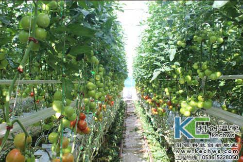 無土栽培，無土栽培技術(shù)，無土栽培設(shè)備