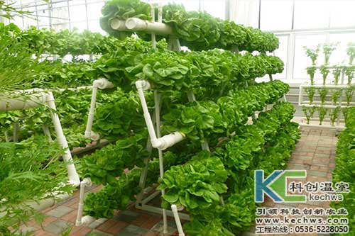 無土栽培，無土栽培技術，無土栽培設備