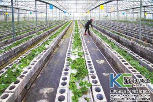 無土栽培，無土栽培技術，無土栽培設備
