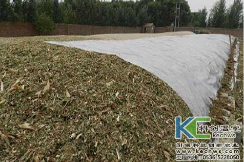 無土栽培，無土栽培技術，無土栽培設備