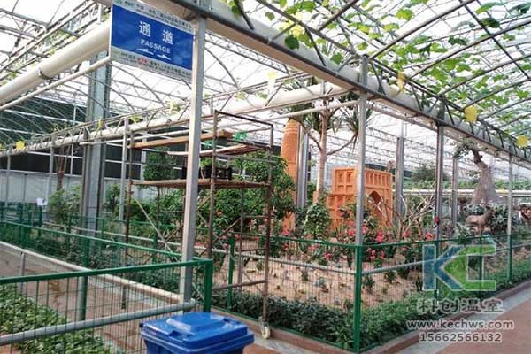 無土栽培，無土栽培技術，無土栽培設備