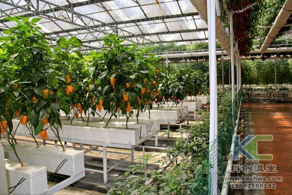 無土栽培，無土栽培技術(shù)，無土栽培設(shè)備