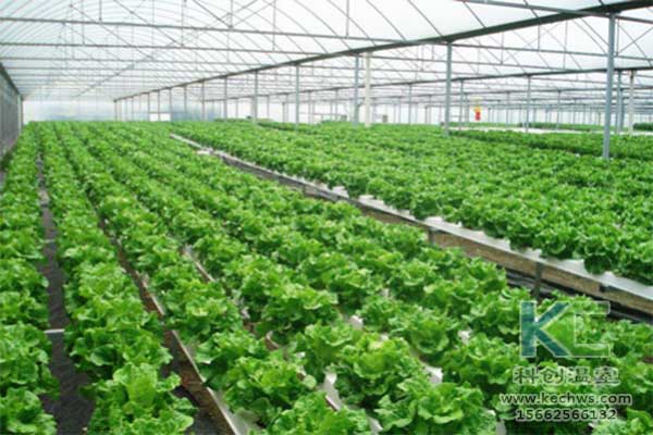 無土栽培，無土栽培技術