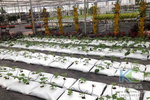 無土栽培，無土栽培技術