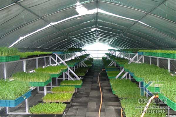 無土栽培，無土栽培技術(shù)