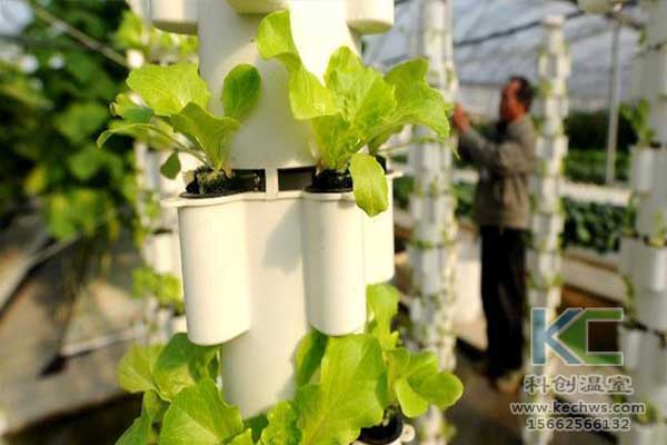 無土栽培，無土栽培技術，無土栽培設備