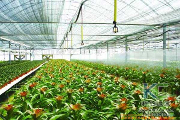 無土栽培，無土栽培技術，無土栽培設備