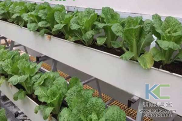 無土栽培，無土栽培技術，無土栽培設備