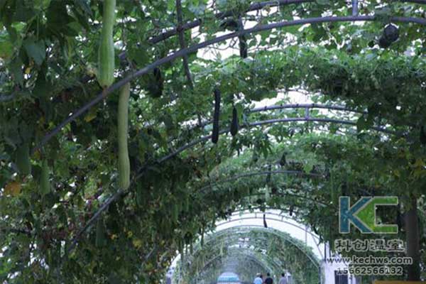 無土栽培，無土栽培技術，無土栽培設備