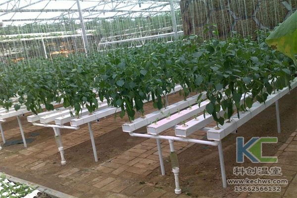 無土栽培，無土栽培技術，無土栽培設備