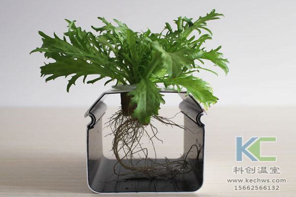 無土栽培技術，無土栽培設備，溫室大棚，無土栽培