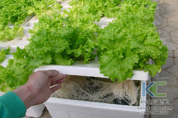 無土栽培技術，無土栽培設備，營養液，溫室大棚