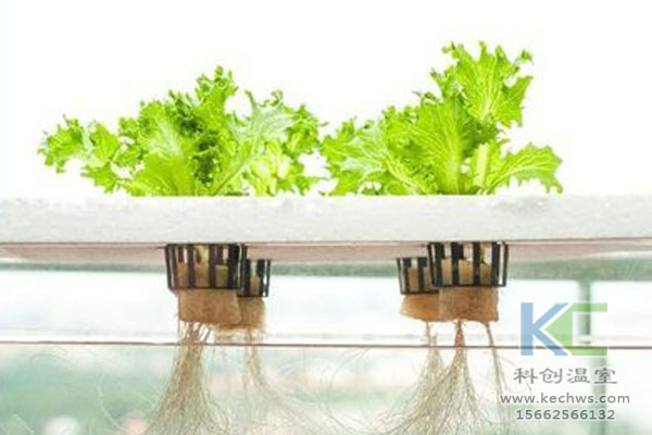 無土栽培技術，無土栽培設備，無土栽培，溫室大棚