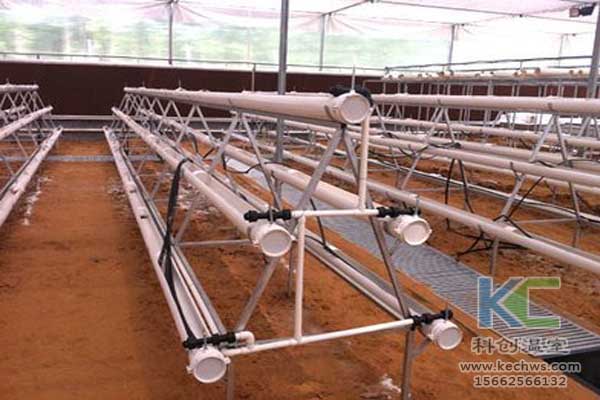 無土栽培技術(shù)，無土栽培設(shè)備，魚菜共生，溫室大棚