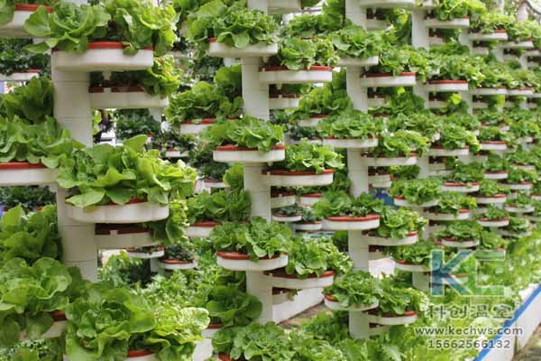 無土栽培，無土栽培技術，無土栽培設備