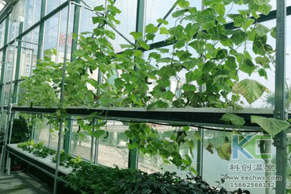 無土栽培技術(shù)，無土栽培設(shè)備，無土栽培，溫室大棚