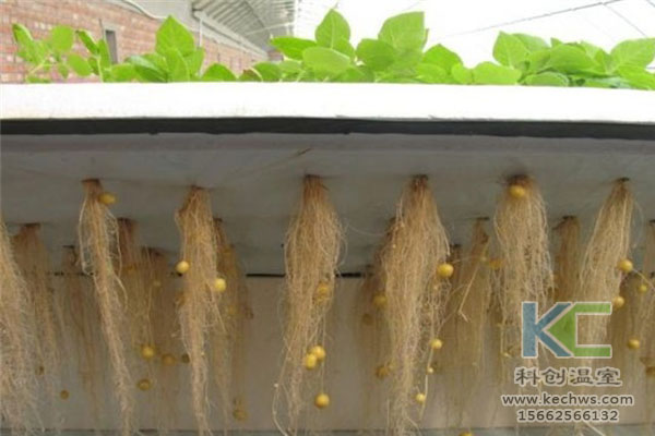 無土栽培技術，無土栽培設備，溫室大棚，無土栽培