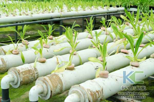 無(wú)土栽培技術(shù)，蔬菜大棚建設(shè)，溫室大棚，無(wú)土栽培