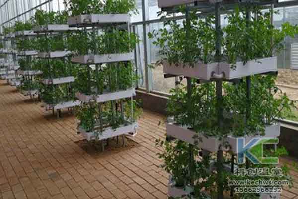 無土栽培技術，無土栽培設備，無土栽培，溫室大棚