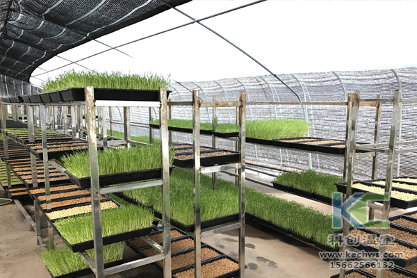 無土栽培技術，無土栽培設備，基質栽培，溫室大棚