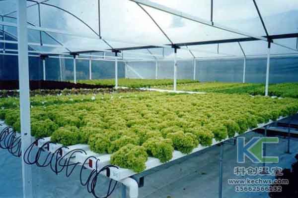 無土栽培技術，無土栽培設備，無土栽培，溫室大棚
