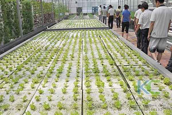 無土栽培技術，無土栽培設備，無土栽培，溫室大棚